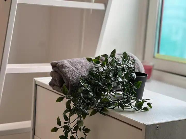 אוסלו Cozy Room With Smart Solutions Grunerlokka Central Happy Days מראה חיצוני תמונה