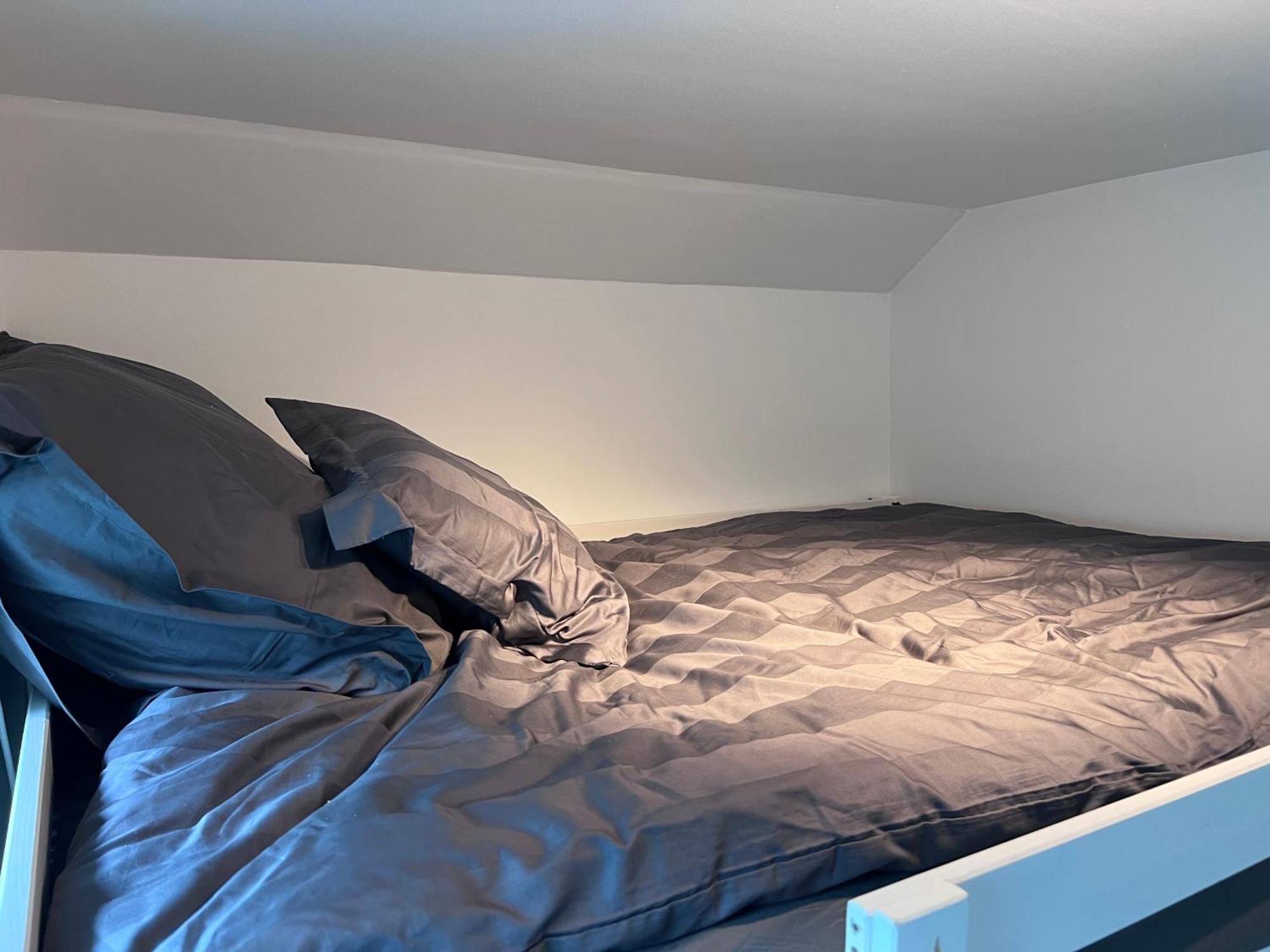 אוסלו Cozy Room With Smart Solutions Grunerlokka Central Happy Days מראה חיצוני תמונה
